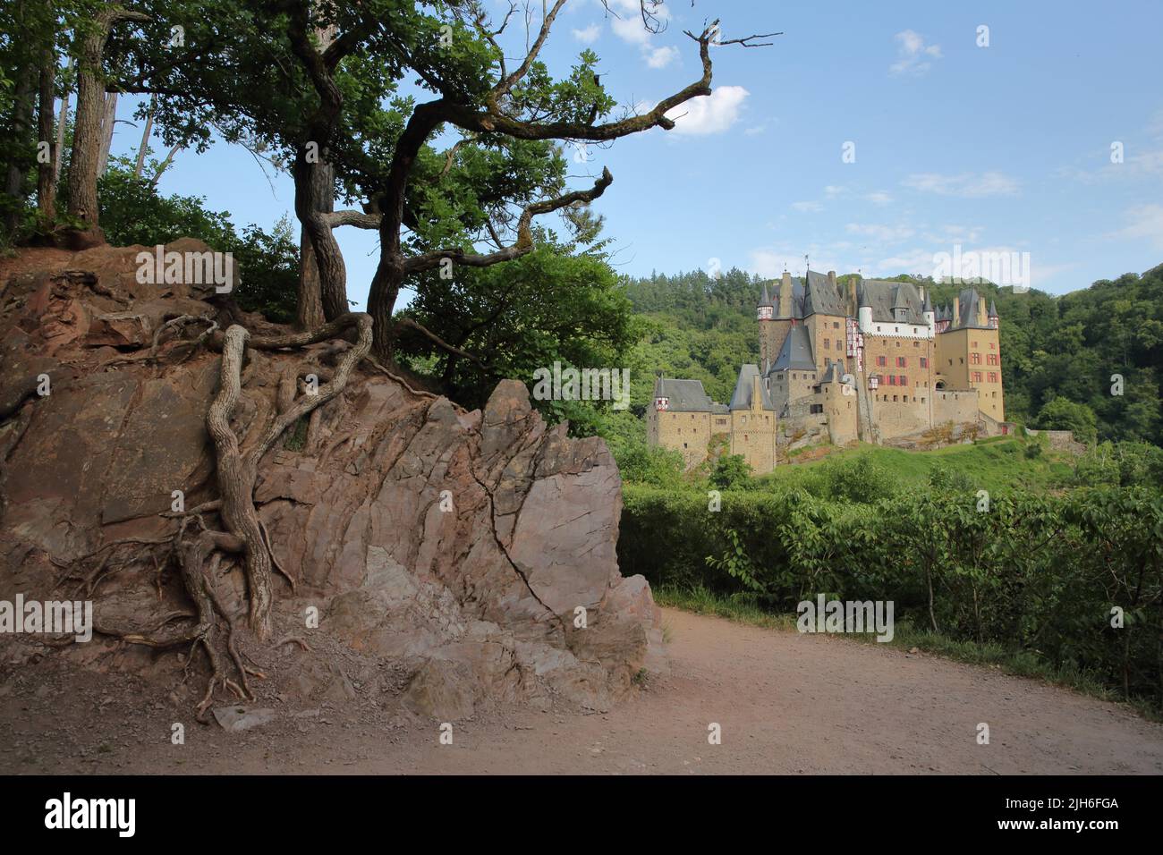 Eltz Castle built 12th century with tree root in Wierschem, Moselle