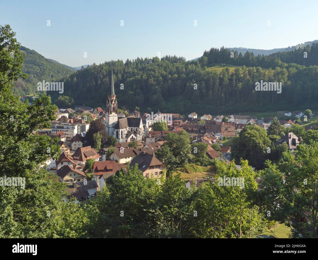 View from the Schlageter Monument of the village of Schoenau in the Upper Wiesetal in the Black Forest, Schlageter Monument Ruin, Schoenau Stock Photo