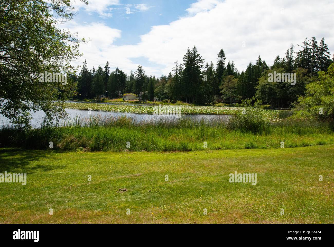 Magic Lake, North Pender Island, British Columbia, Canada Stock Photo