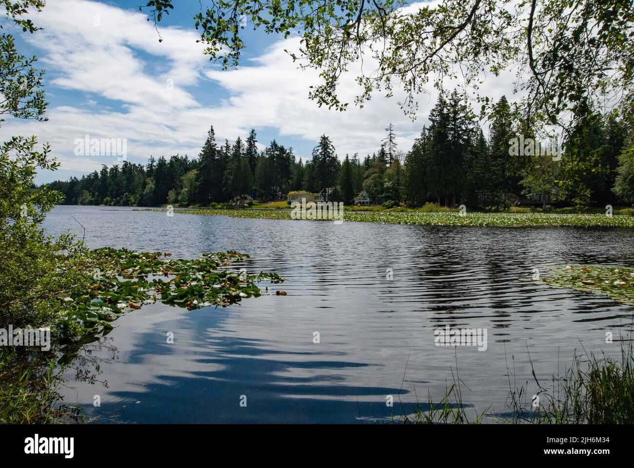 Magic Lake, North Pender Island, British Columbia, Canada Stock Photo