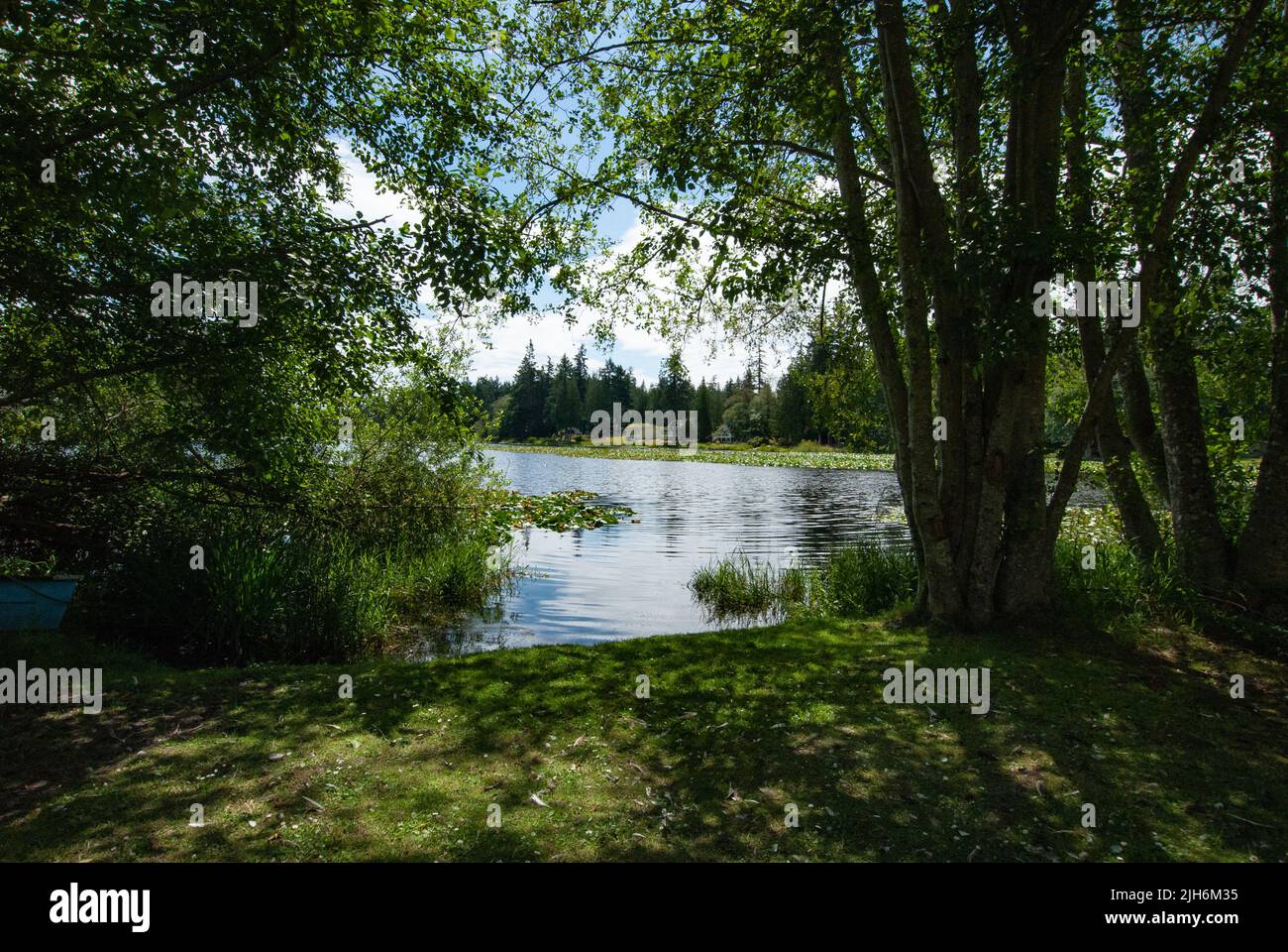 Magic Lake, North Pender Island, British Columbia, Canada Stock Photo