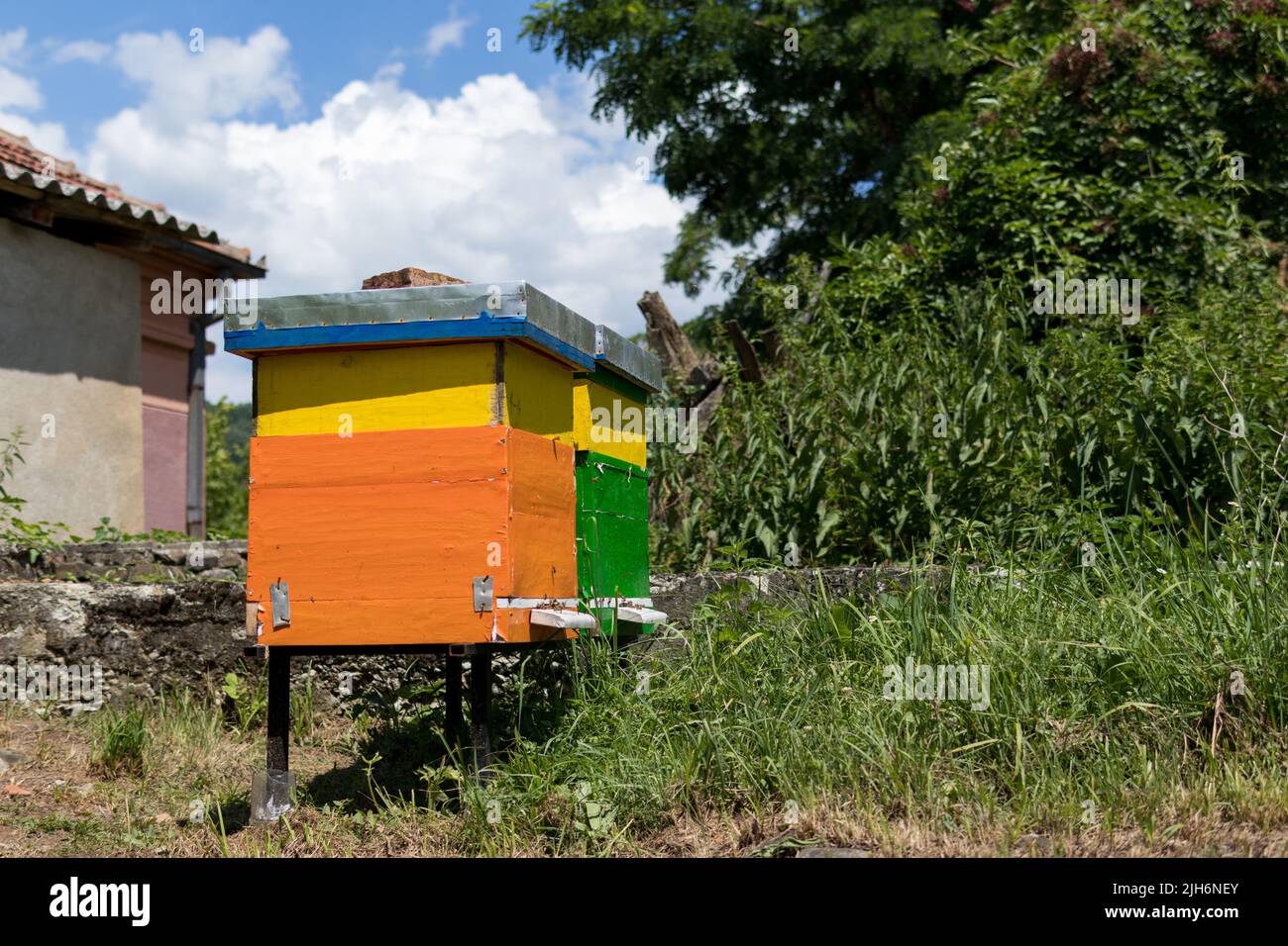 Two wooden colorful beehives in an apiary on a sunny summer day. Beekeeping concept Stock Photo