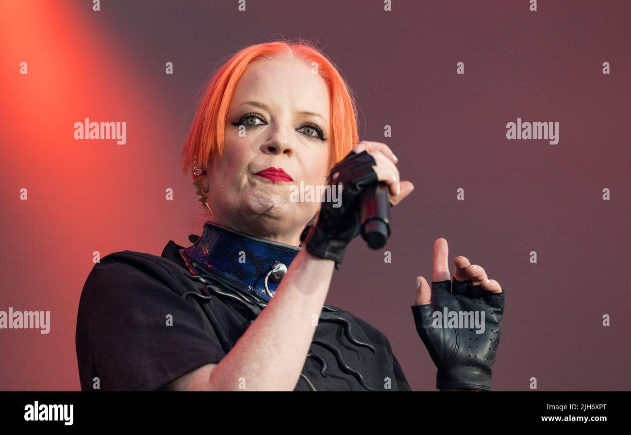 Garbage Singer See Through Dress