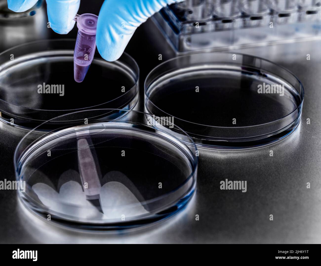 Biotechnology Stock Photo