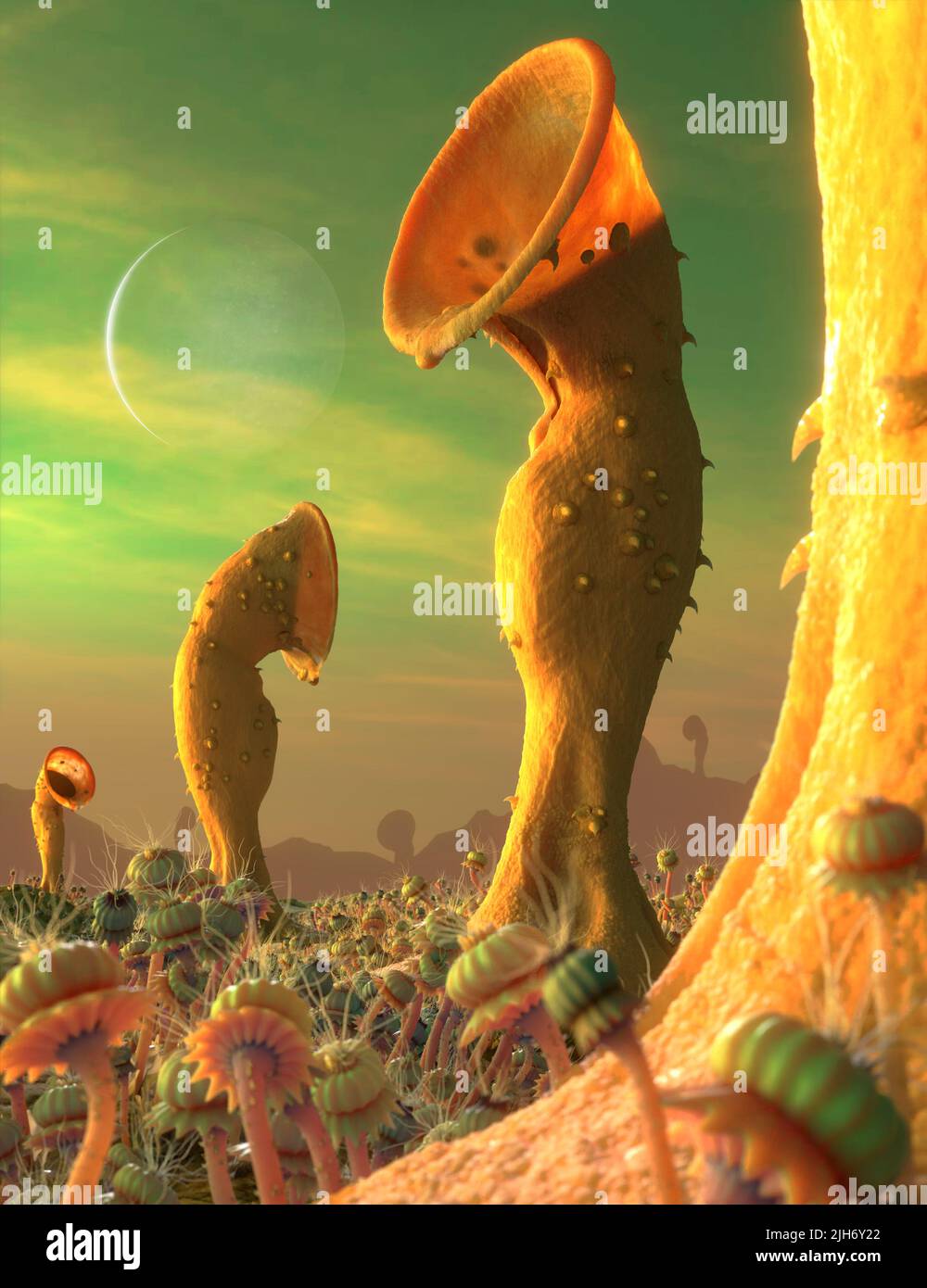 Alien flora and fauna on an exoplanet, illustration Stock Photo