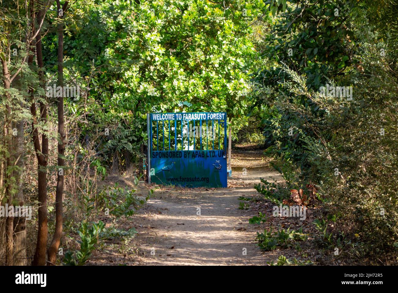 KULORO, THE GAMBIA - FEBRUARY 8, 2022 entrance trail to the Farasutu Forest Reserve Stock Photo