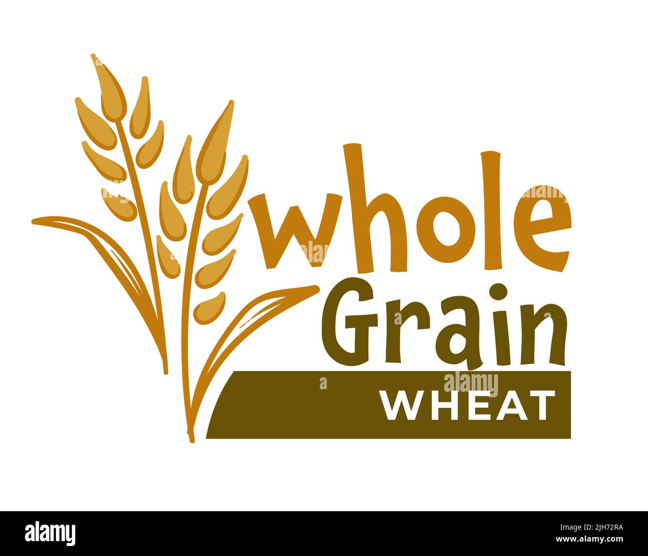 Whole grain wheat, natural food ingredients vector Stock Vector Image & Art Alamy