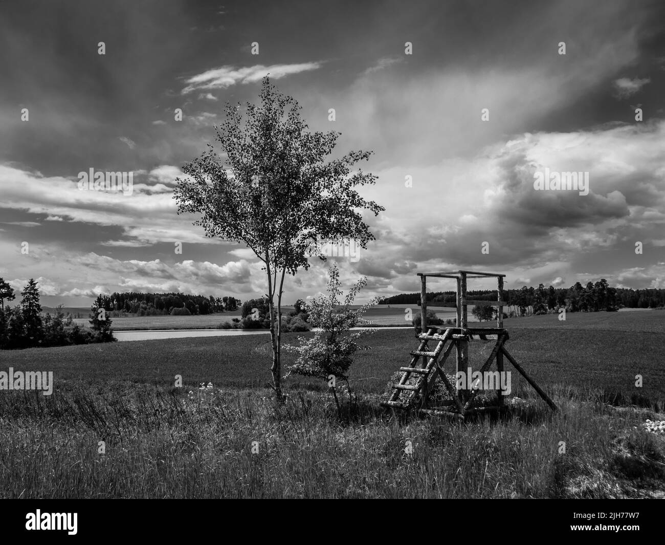 Landscape with Trees, Fields and Raised Perch in Western Bohemia near Malkovice, Czech Republic in Monochrome Black and White Stock Photo