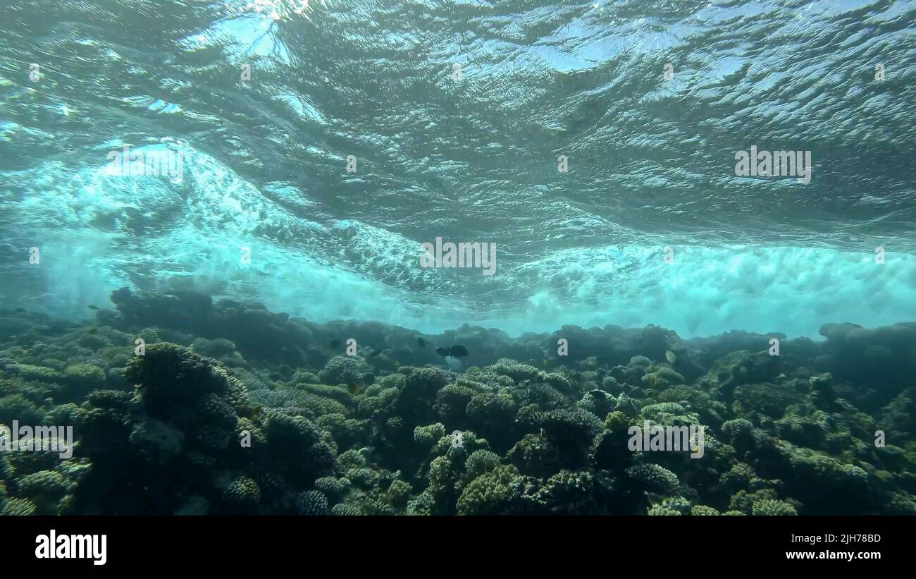 Storm waves above coral reef. Underwater shot. Red sea, Efypt Stock