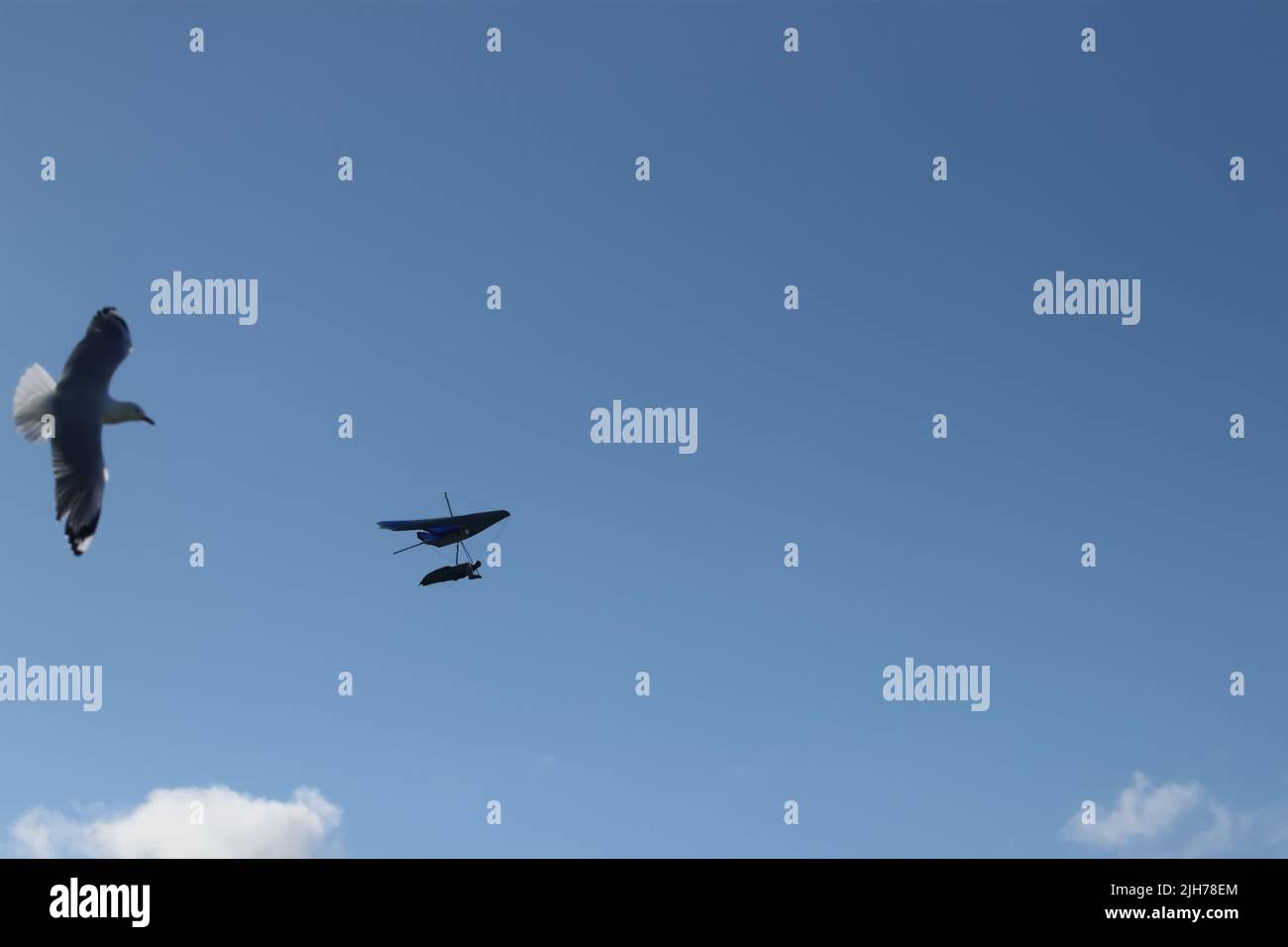 Humans Versus Nature Hi res Stock Photography And Images Alamy humans-versus-nature-hi-res-stock-photography-and-images-alamy