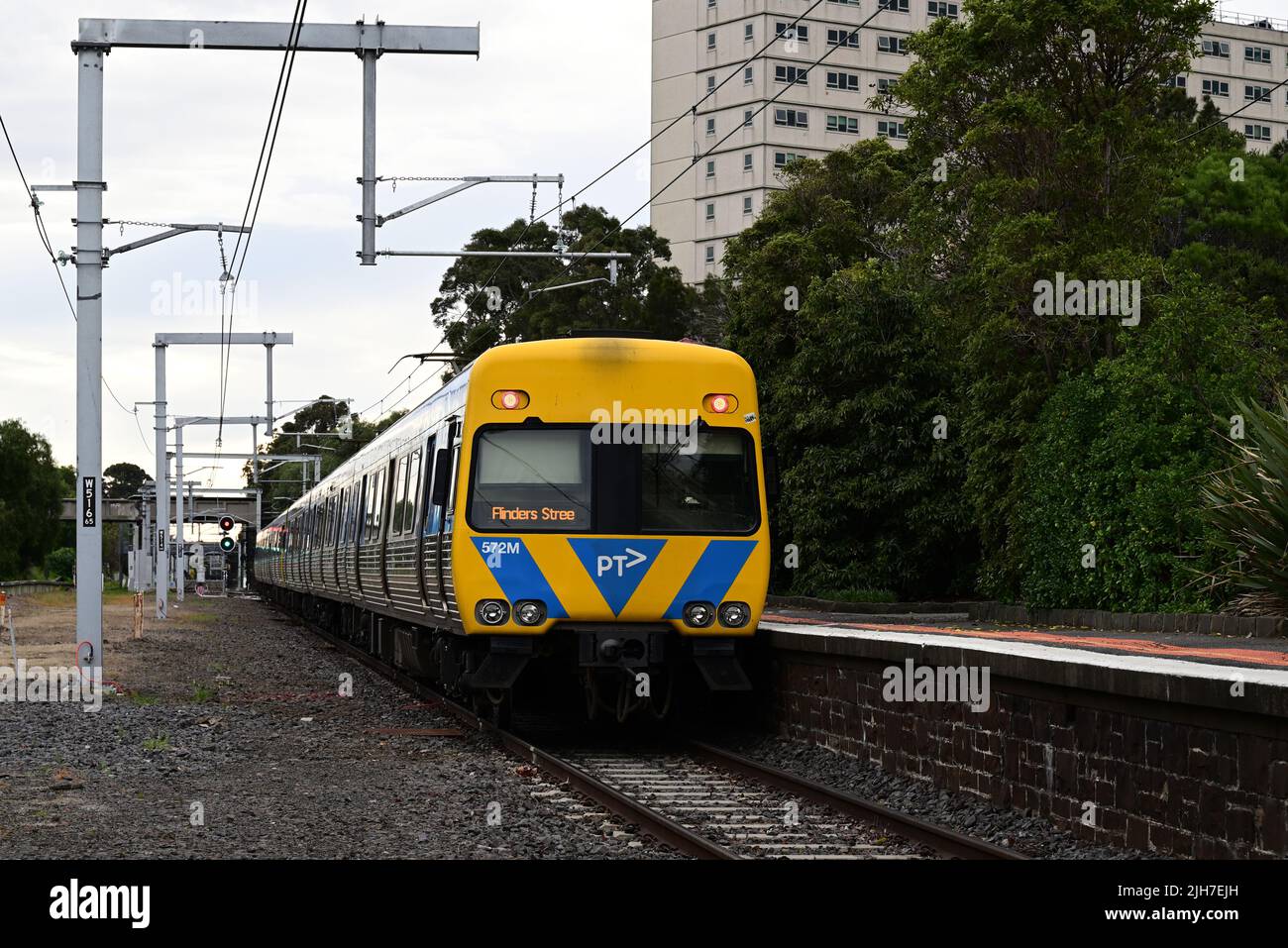 Track-level view of a Comeng train, with yellow and blue PTV livery, stopped at Williamstown Railway Station Stock Photo