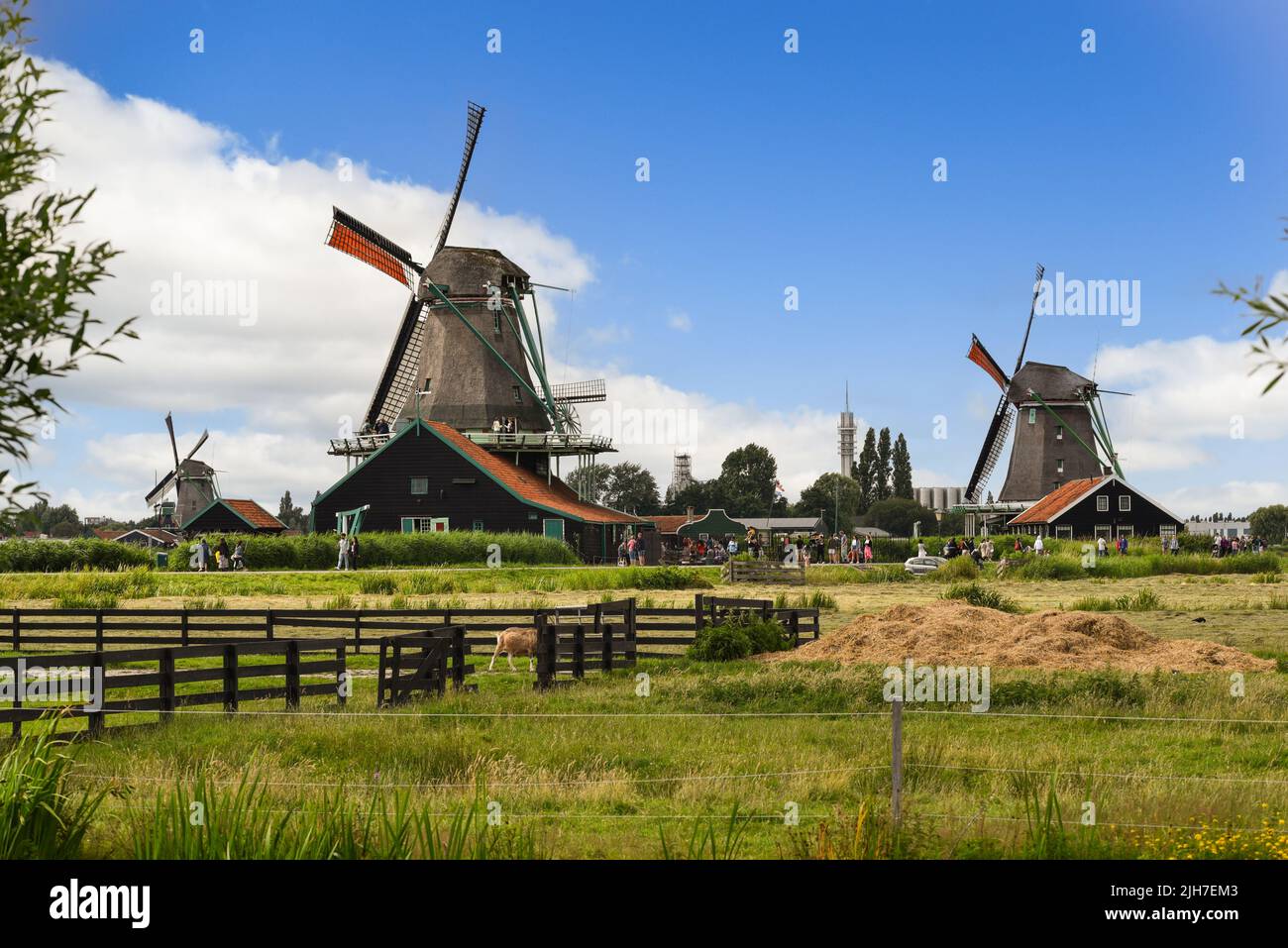 Koog aan de Zaan, Netherlands. July 2022. Dutch landscape with windmills near de Zaanse Schans. High quality photo Stock Photo