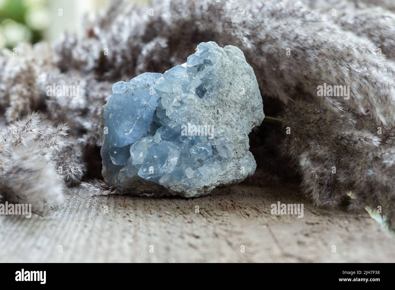 Blue Celestine or Celestite Stone mineral gemstone close up on wooden background. Natural healing gems for collection or spiritual therapy. Stock Photo