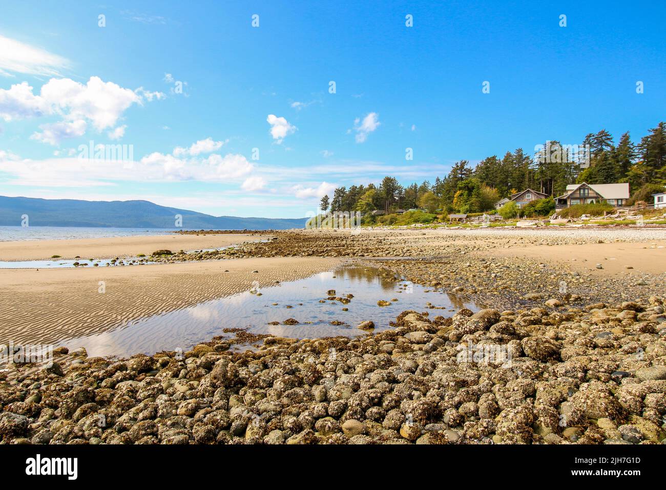 Powell River, BC. The view on the long sandy beach with stones. Houses and trees in the background. Stock Photo