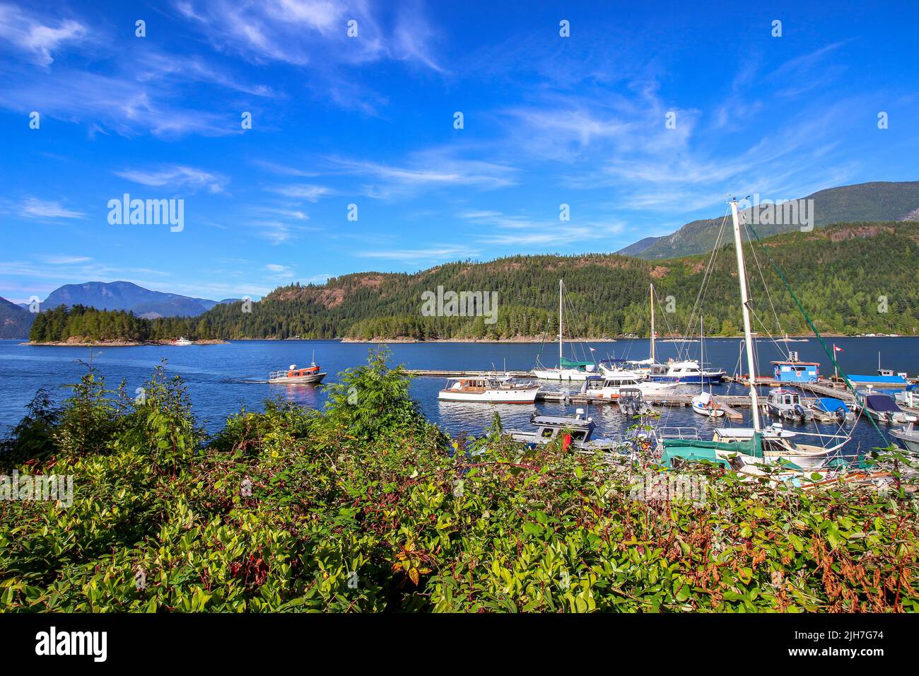 Powell River, BC - the view on the harbor with white sail boats surrounded by lush nature. Stock Photo