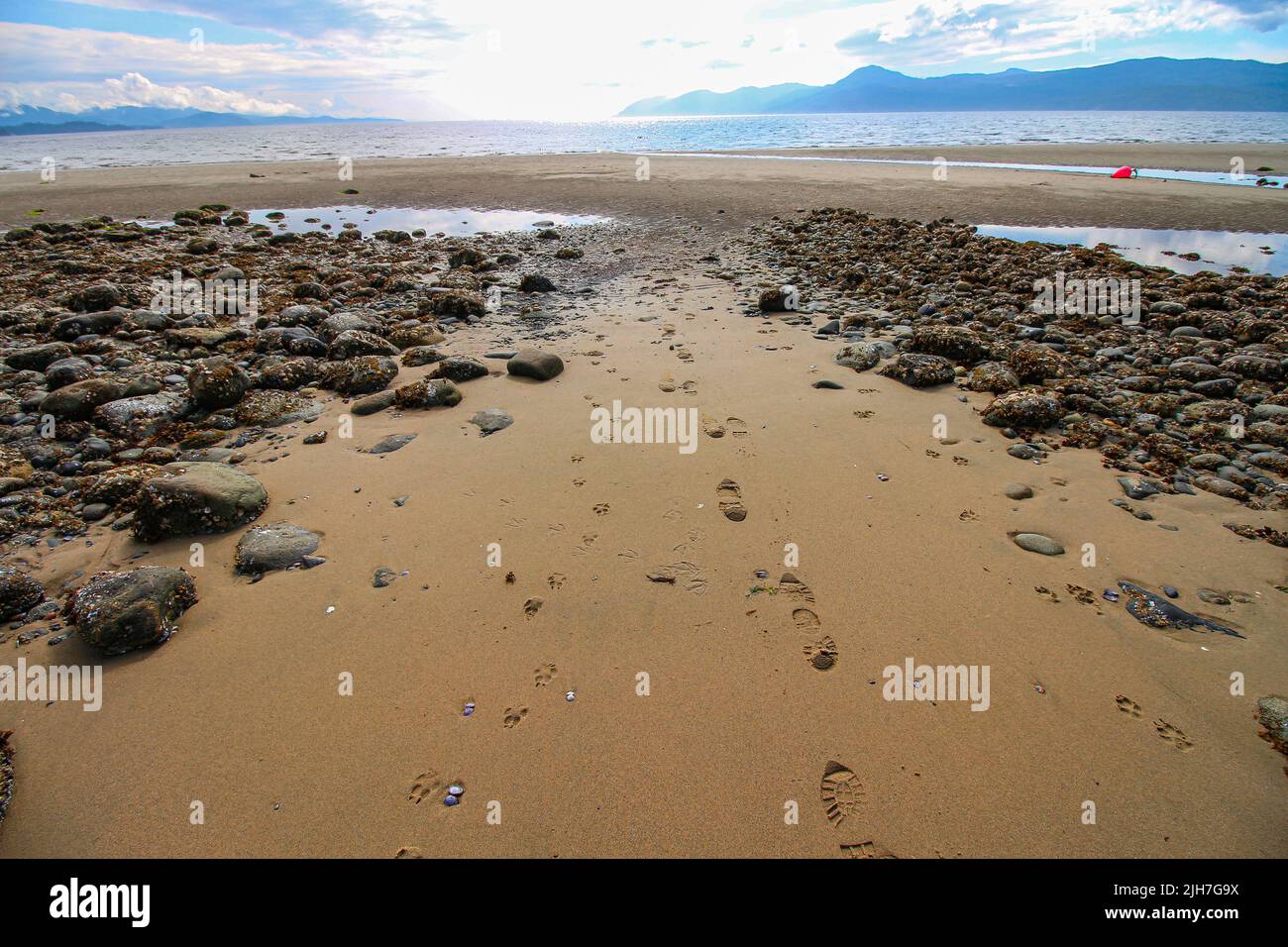 Powell River, BC. The view on the long sandy beach with stones. Stock Photo