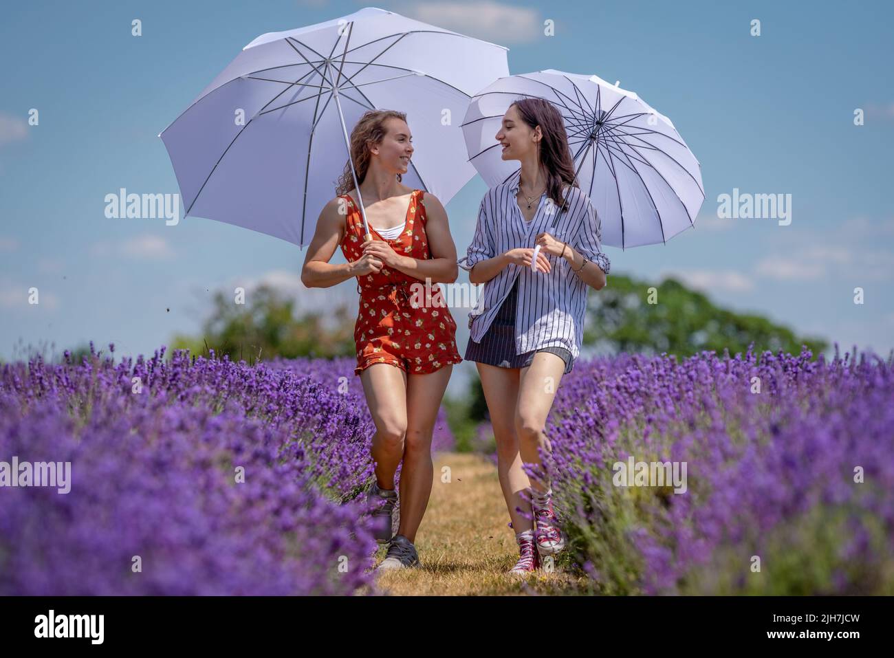 Banstead, Surrey, UK. 16th July, 2022. UK Weather: Annelise and Rebecca enjoy the vivid rows of organic lavender currently in full bloom on Mayfield Lavender Farm during the on-going UK heatwave with temperatures expected to reach 39C in the coming days. Credit: Guy Corbishley/Alamy Live News Stock Photo