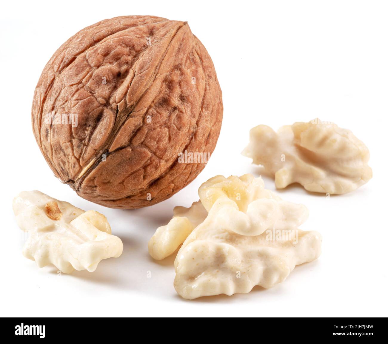 Walnut and walnut kernel isolated on white background. Stock Photo