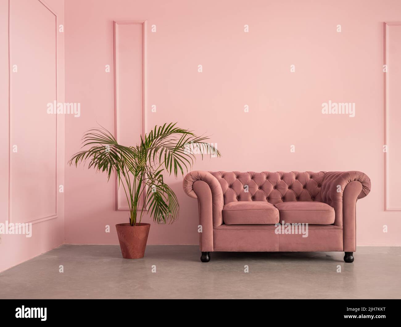 Elegant sofa in the empty pink room with copy space Stock Photo