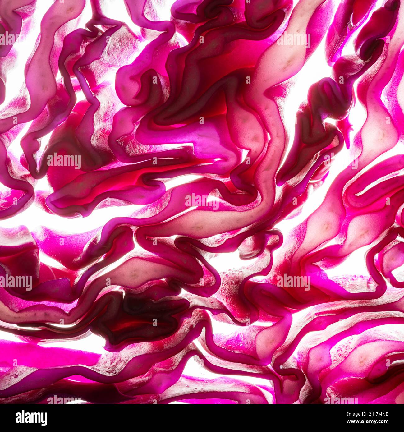 Abstract cabbage hi-res stock photography and images - Alamy