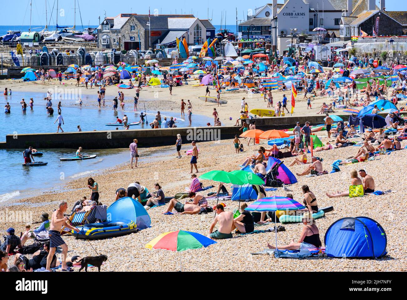 Lyme Regis, Dorset, UK. 16th July, 2022. UK Weather Crowds flock to