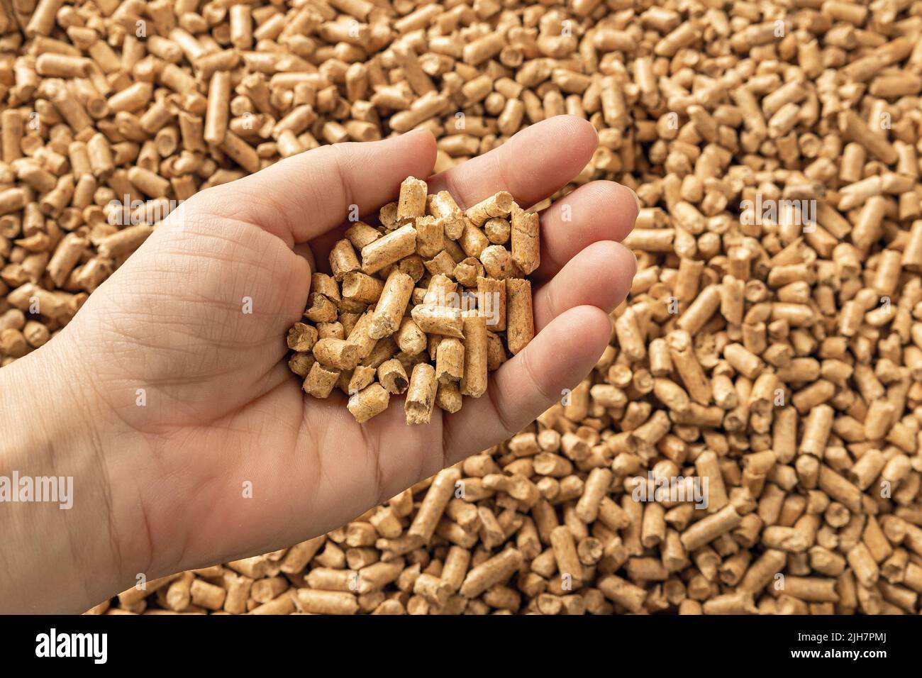 Wood pellets in the woman hand palm. Person hand holds a handful of