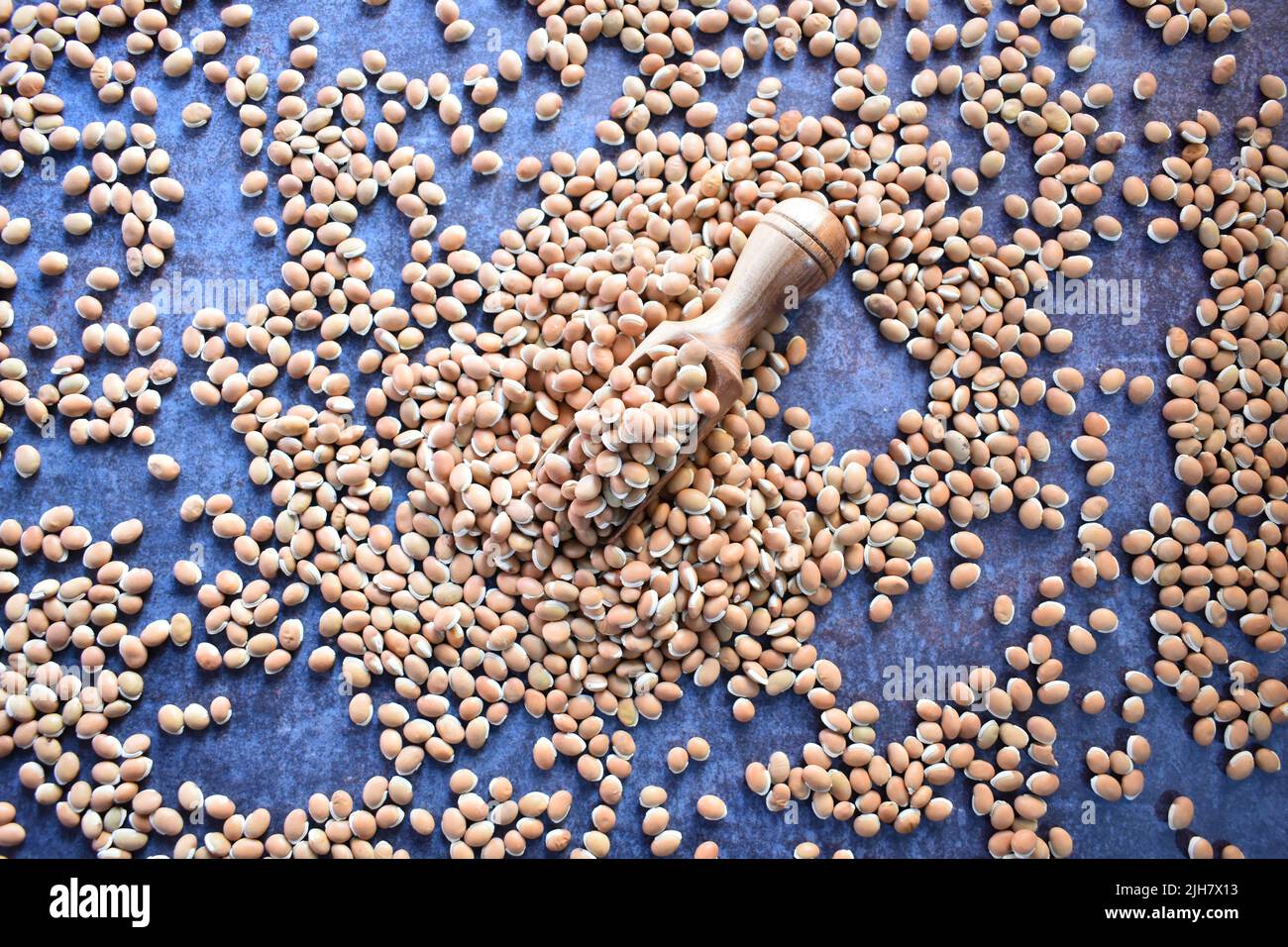 Raw whole dried brown Hyacinth bean Stock Photo