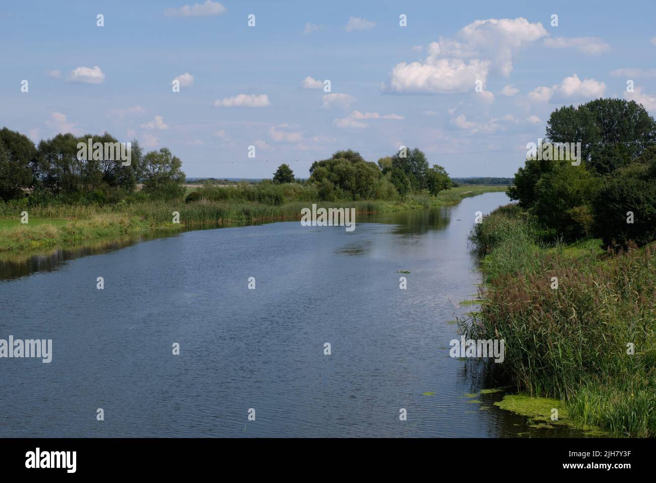 Narew River landscape in Tykocin from town bridge in summer, Podlaskie Voivodeship, Poland, Europe Stock Photo