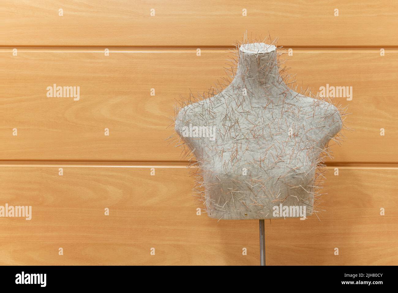 Bust full of acupuncture pins in a room with a wooden wall Stock Photo