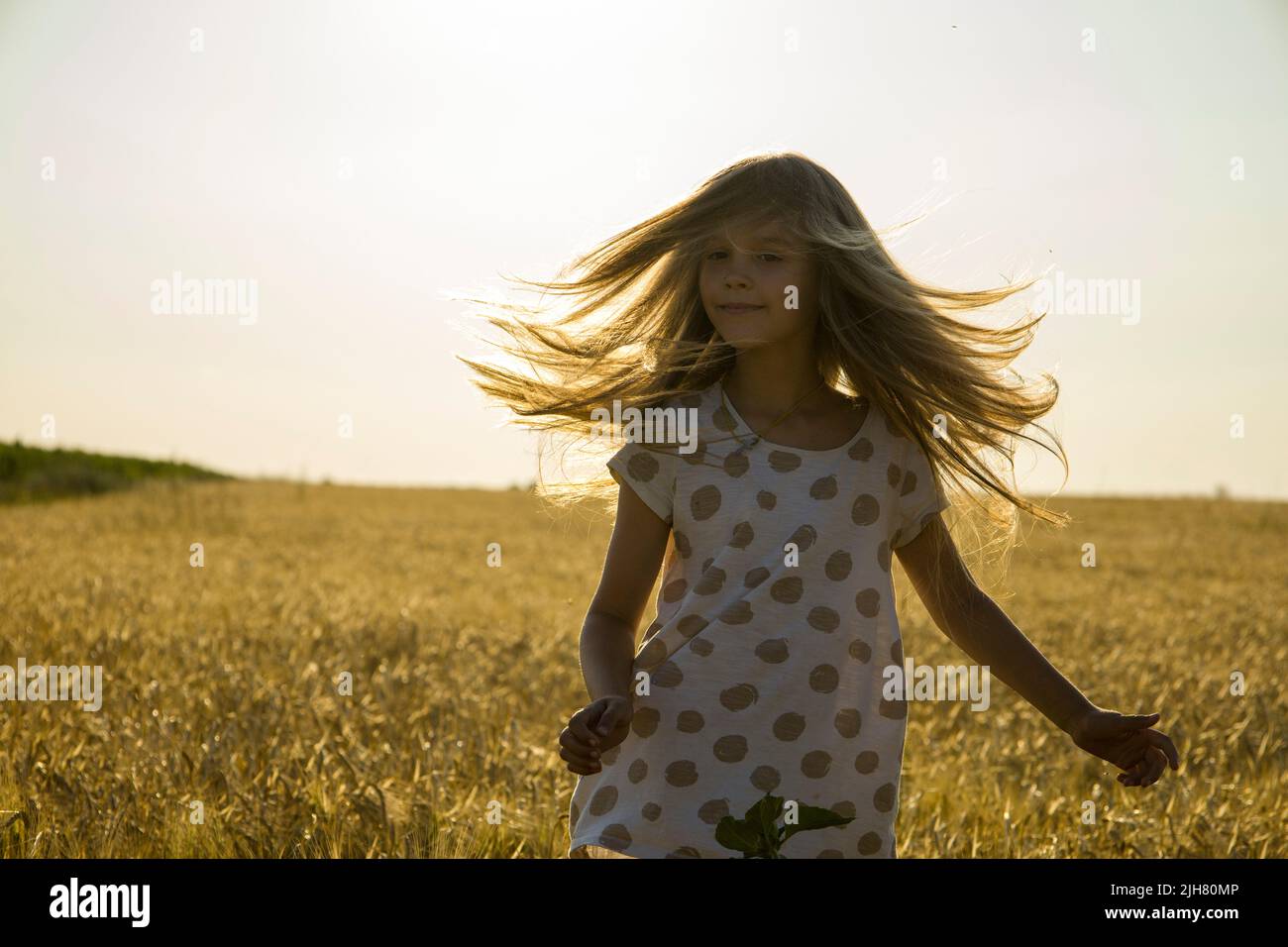 A little girl in a dress in a wheat field Stock Photo - Alamy