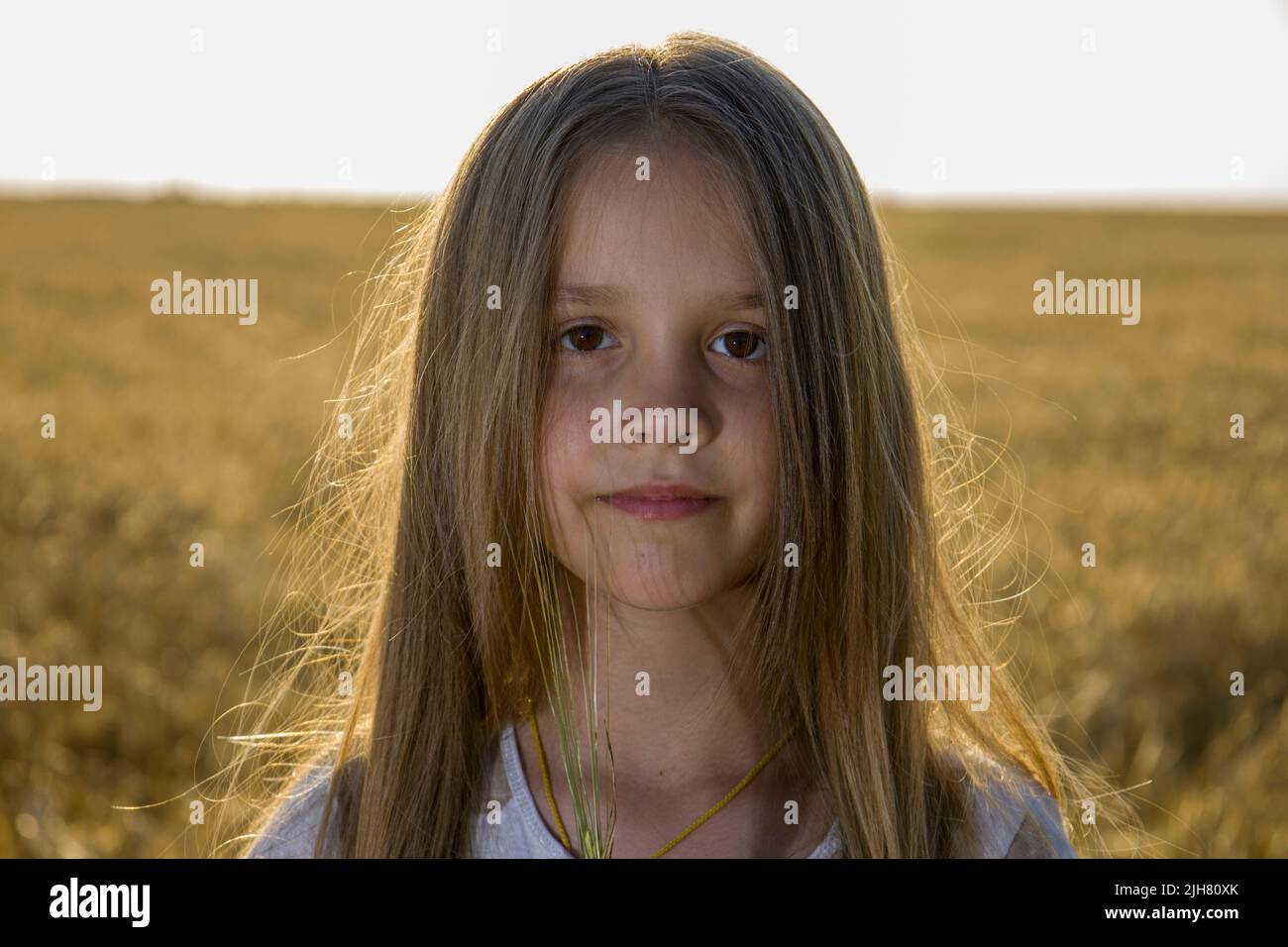 A little girl in a dress in a wheat field Stock Photo - Alamy