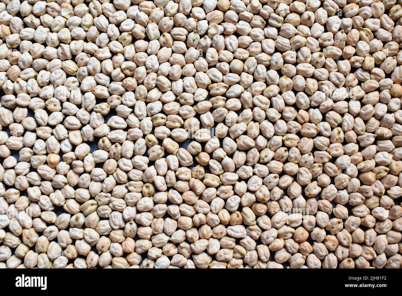 Raw whole dried white Chickpeas Stock Photo