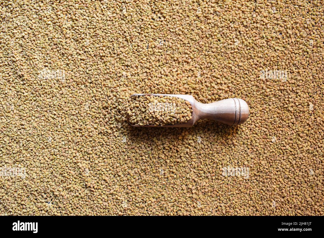 Raw whole dried Fenugreek seeds Stock Photo - Alamy