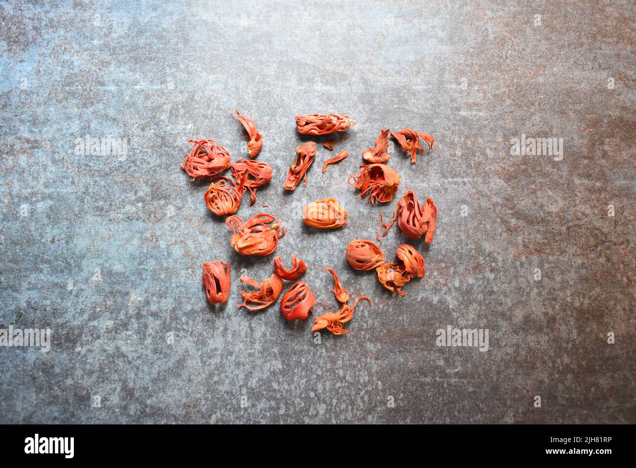 Raw whole dry Mace spice Stock Photo Alamy