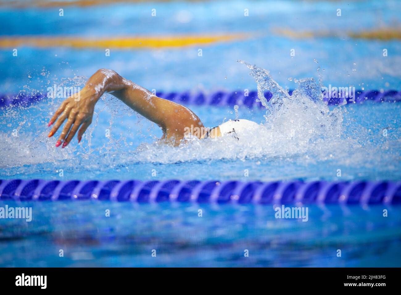 Details with a professional female athlete swimming in an olympic swimming pool. Stock Photo