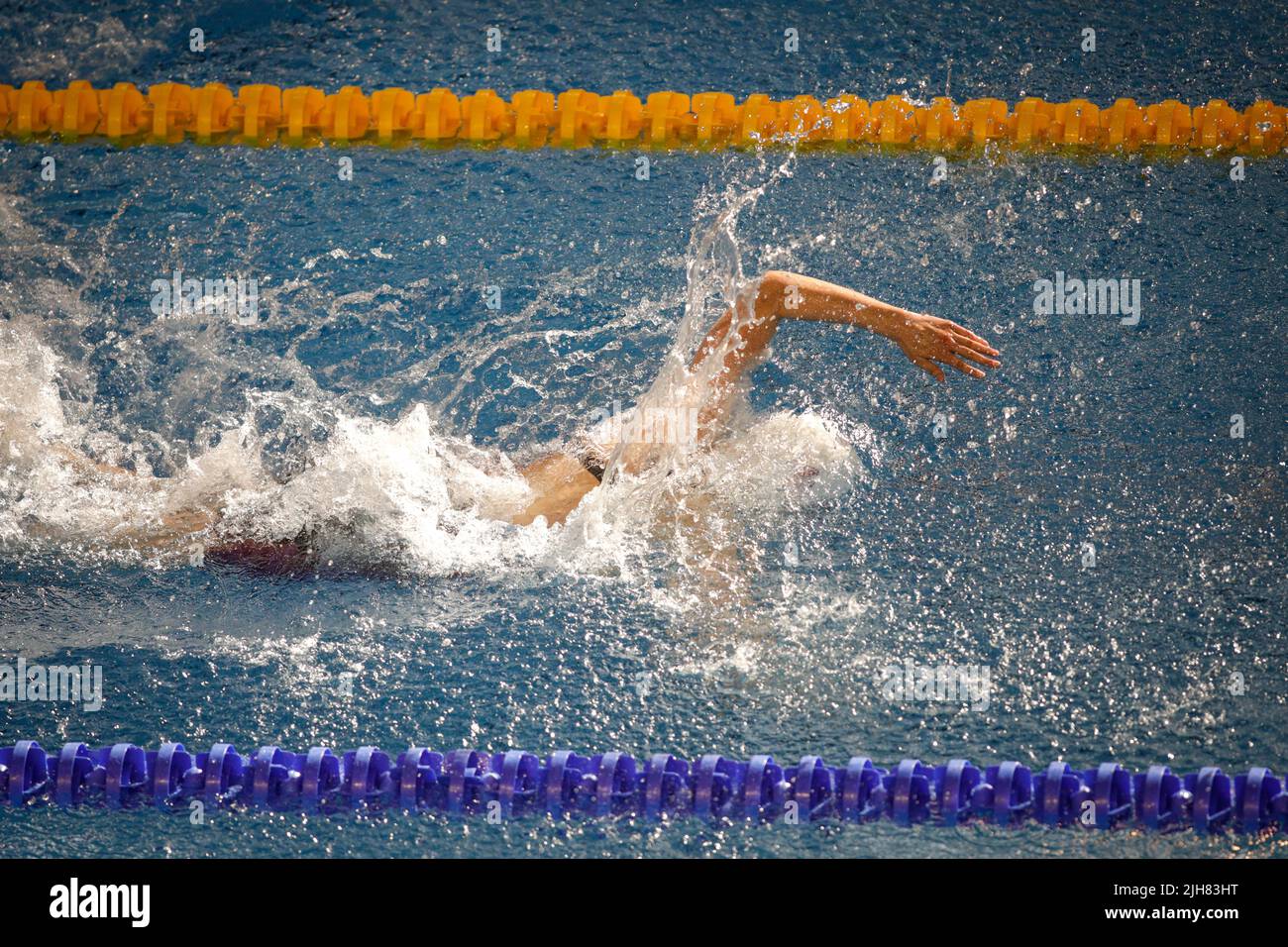 Details with a professional female athlete swimming in an olympic swimming pool. Stock Photo