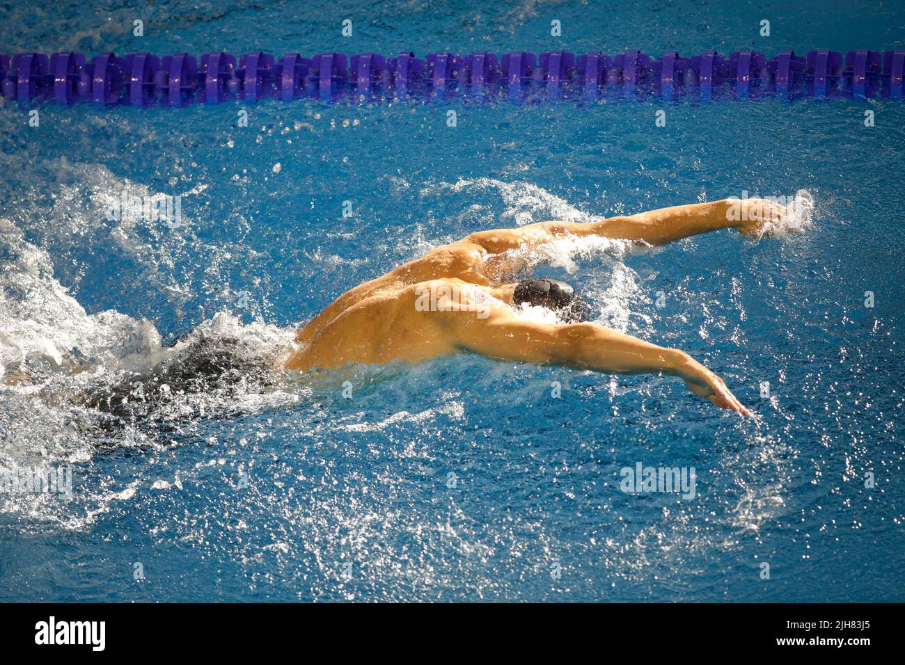 Details with a professional male athlete swimming in an olympic swimming pool butterfly style. Stock Photo