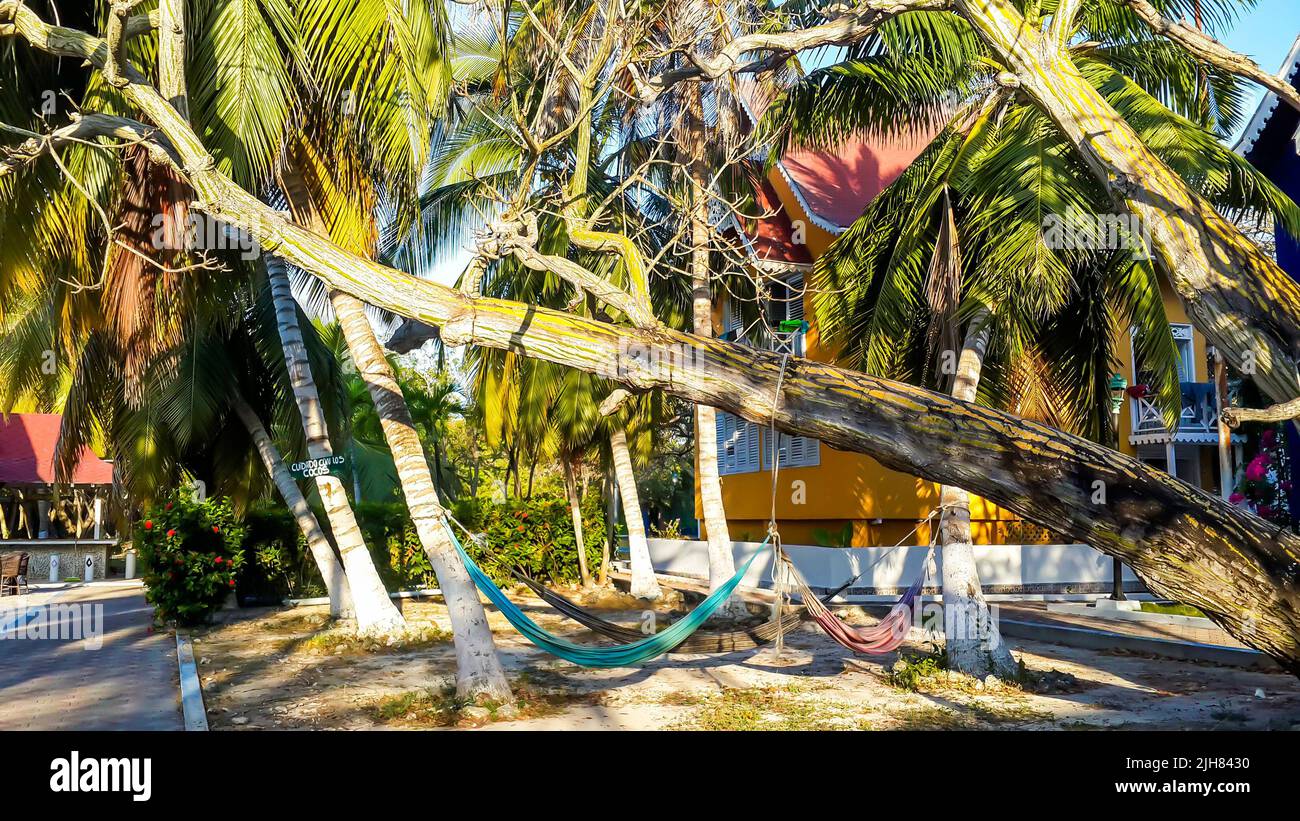 Isla del pirata colombia hi-res stock photography and images - Alamy