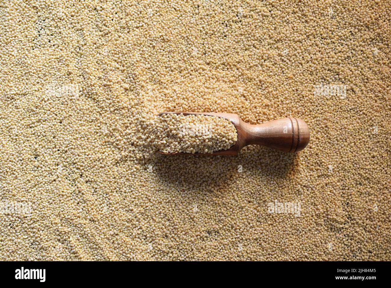 Whole dry Proso millet cereal grains Stock Photo Alamy