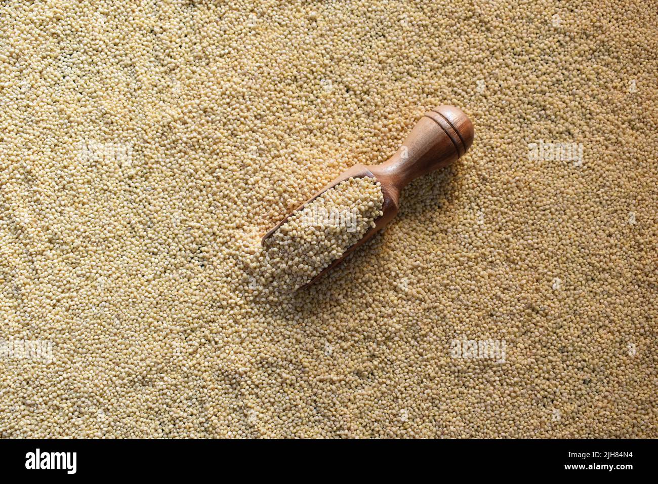 Whole dry Proso millet cereal grains Stock Photo Alamy