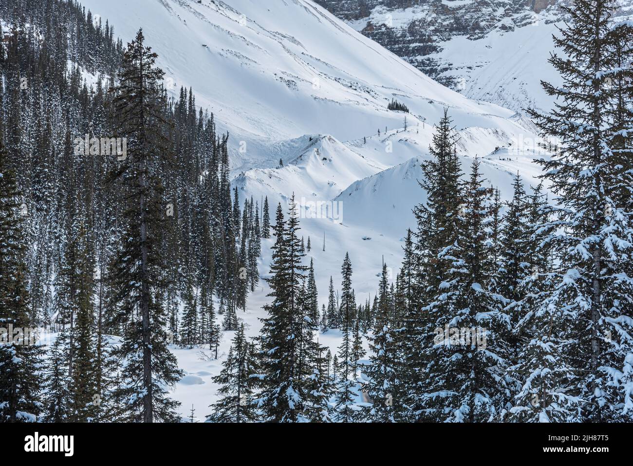Lake Louise in Banff Park in winter time, Alberta, Canada Stock Photo ...