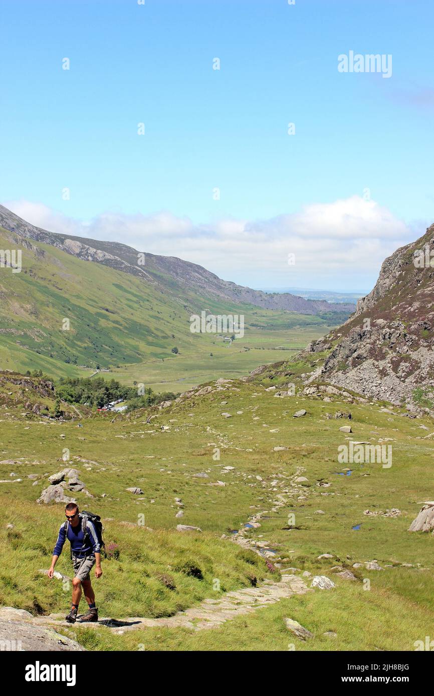 Male Walker Ascends The Track Towards Llyn Bochlwyed With Nant Ffrancon Valley In Distance Stock Photo