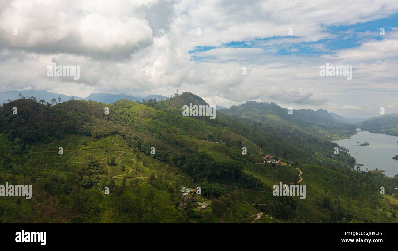 Lake among hills tea plantations hi-res stock photography and images ...