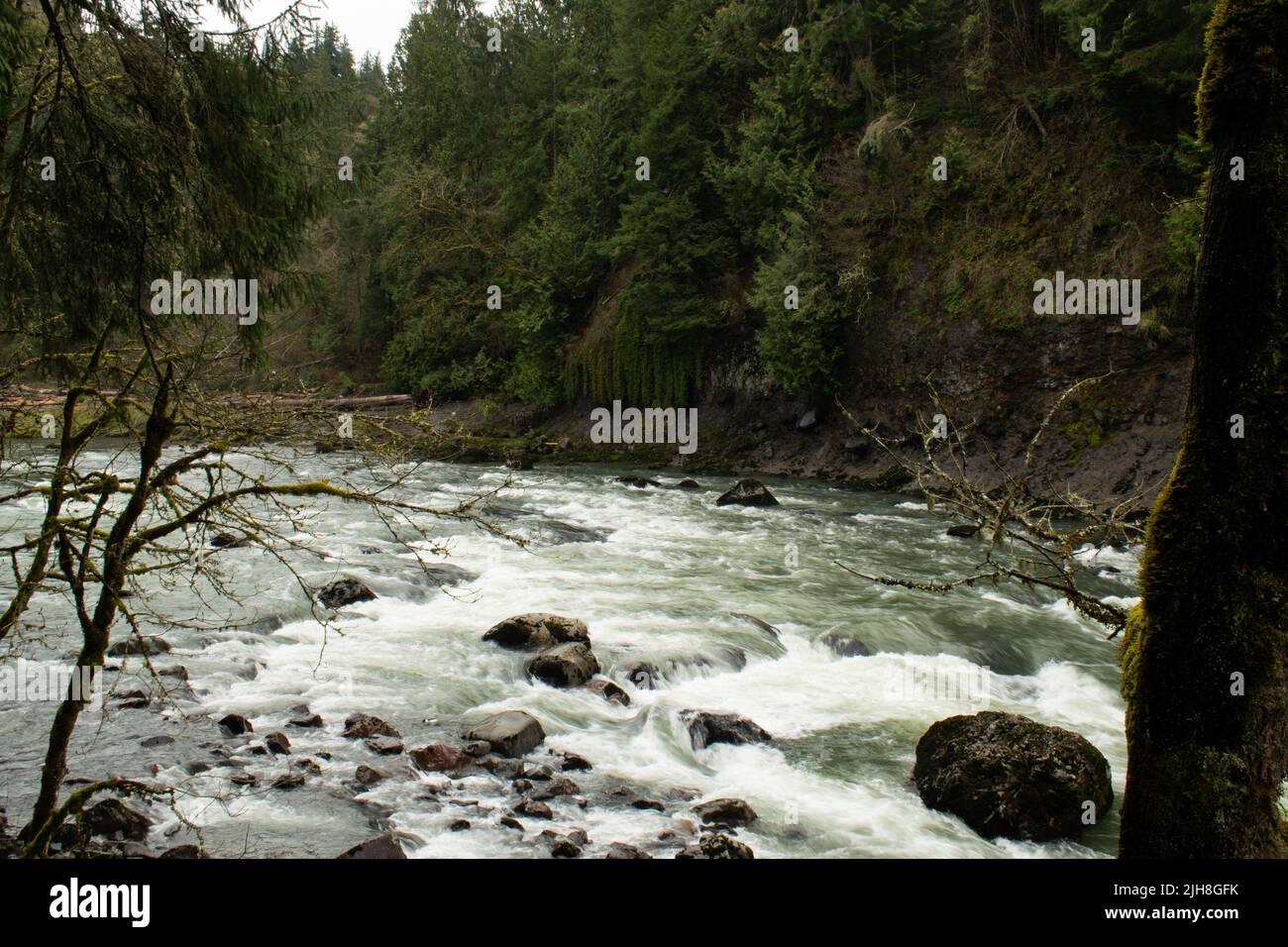 A beautiful shot of a streaming river in the wild nature Stock Photo ...