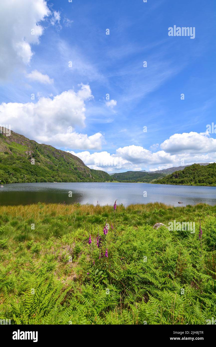 Snowdon and surounding views North Wales UK Stock Photo Alamy