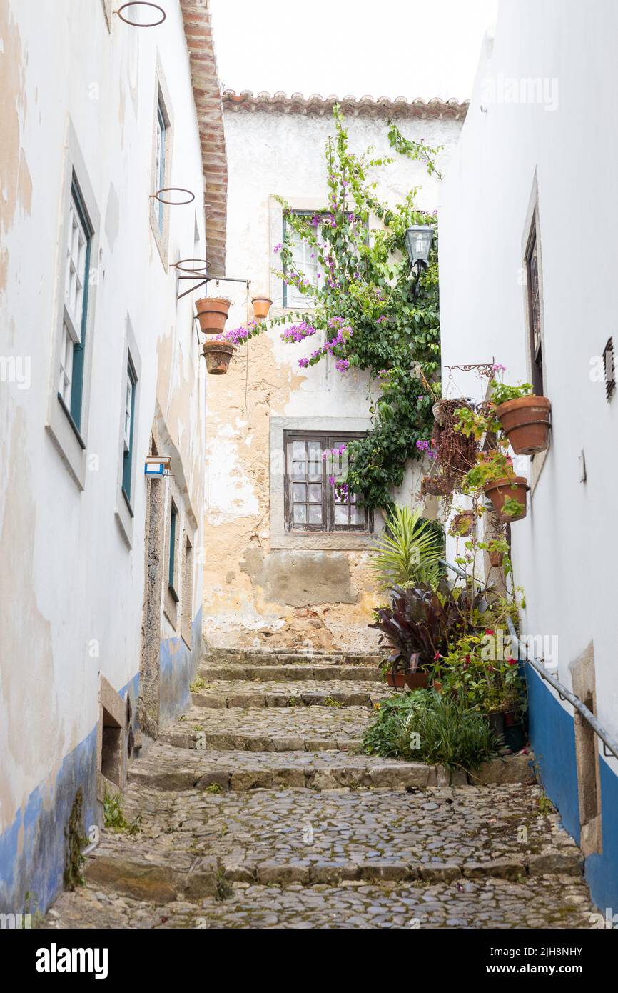 The city of Óbidos, Portugal: Steep alley between old white houses. Flowers in pots. Stock Photo
