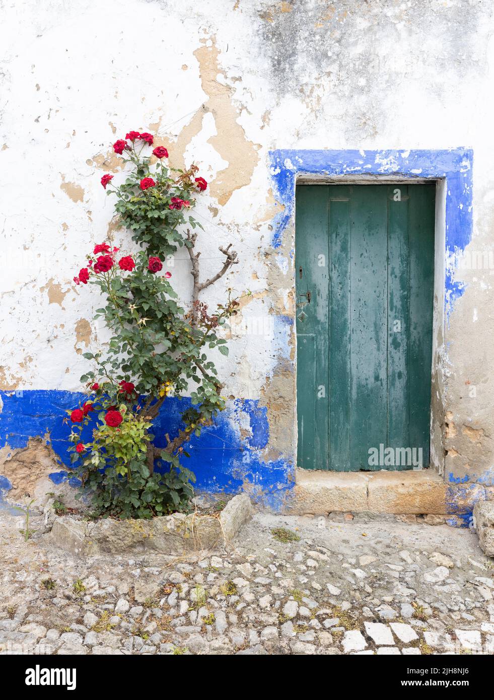 The city of Óbidos, Portugal: Old door and rose bush Stock Photo