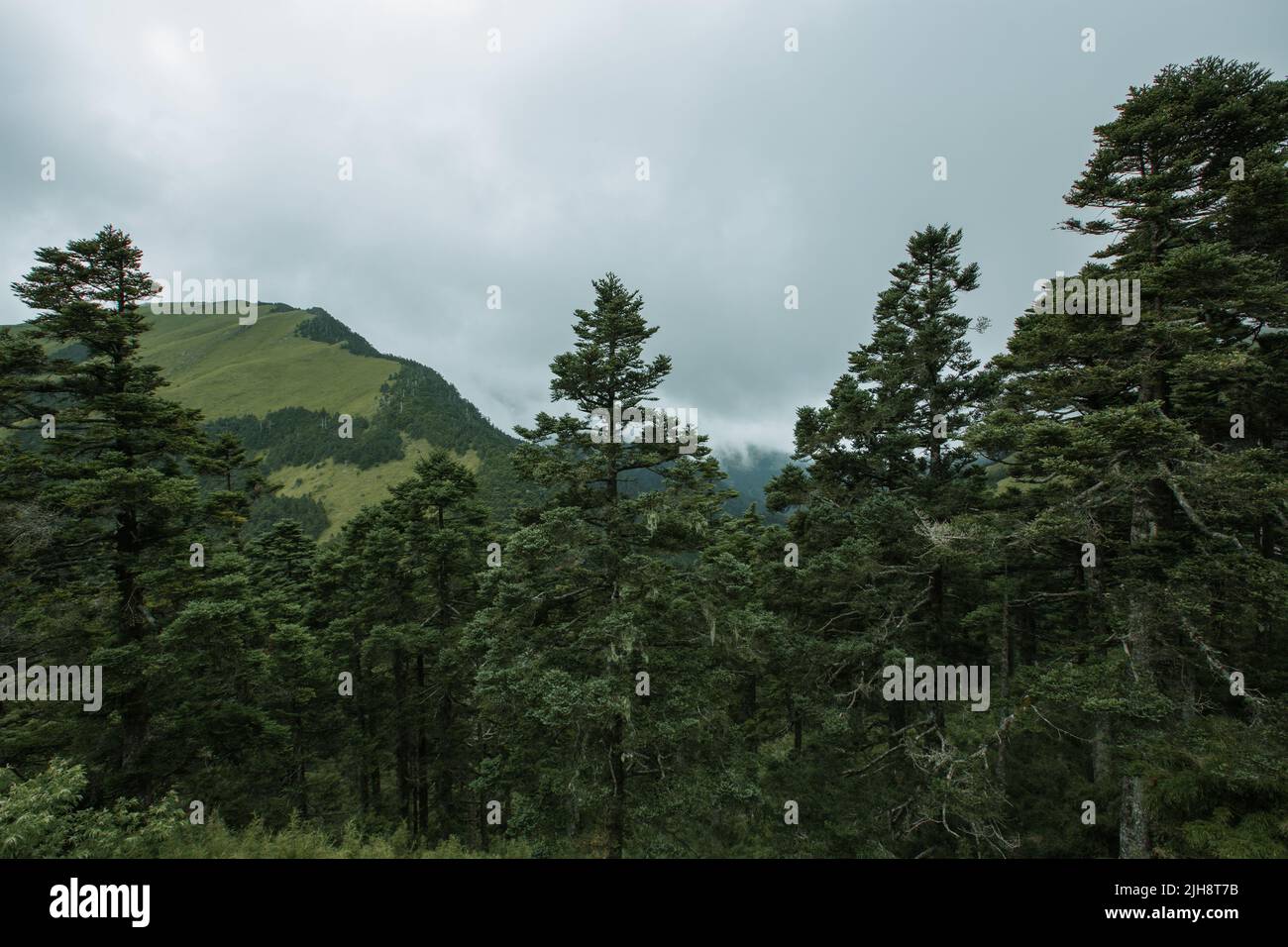 Visit taroko national park hi-res stock photography and images - Alamy