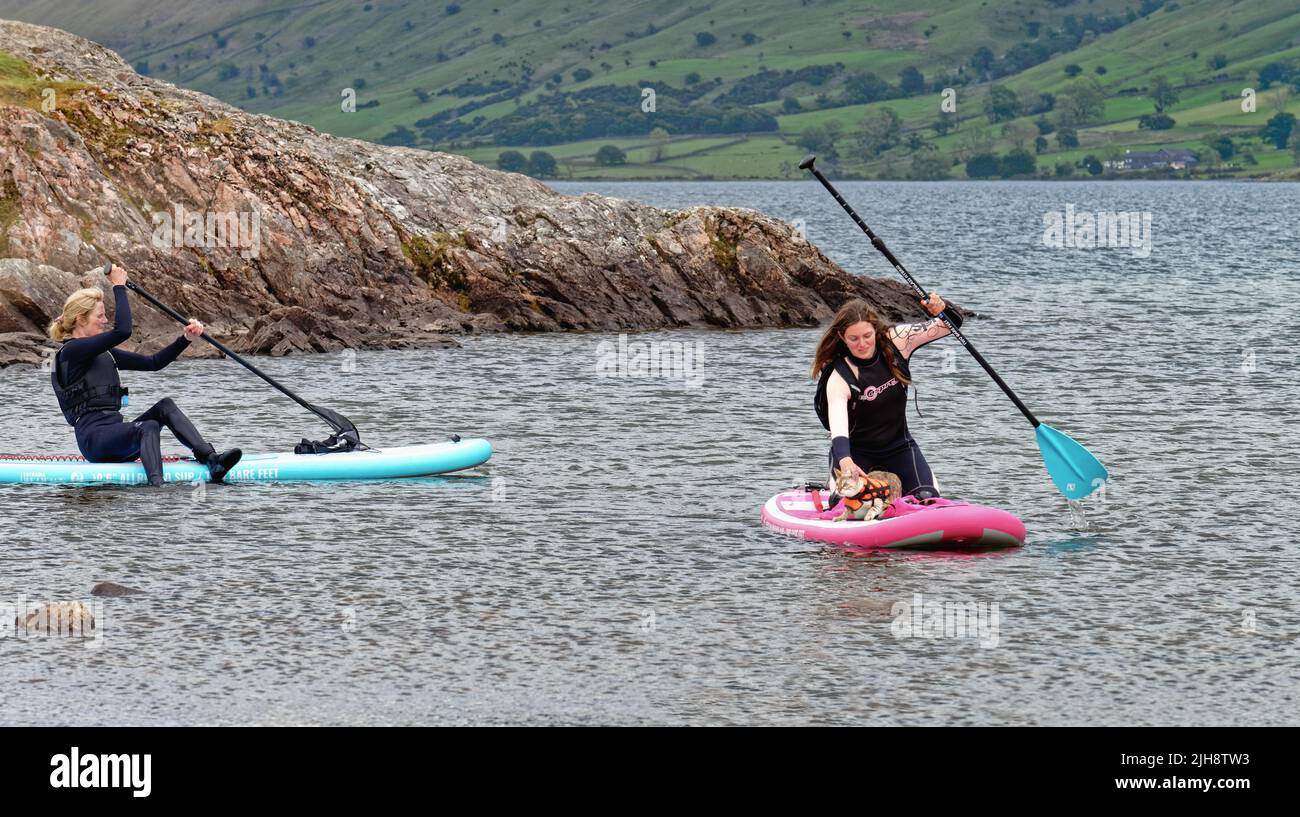 A young female paddle boarder with a domestic cat that been taken out on Wastwater lake accompanied by a older female boarder Wasdale Cumbria England Stock Photo