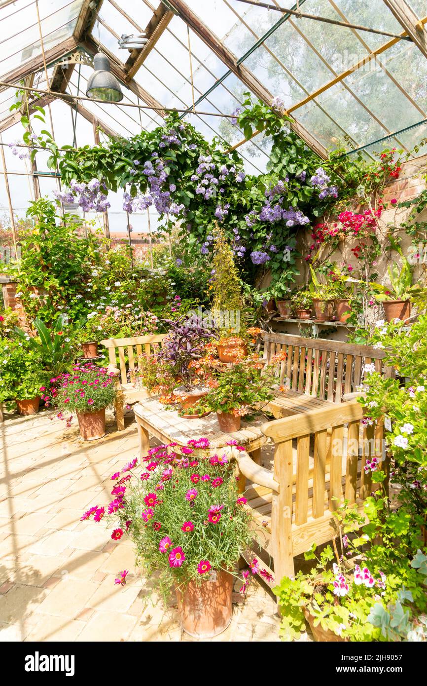Greenhouse in Glasshouse Garden, East Ruston Old Vicarage garden, East Ruston, Norfolk, England